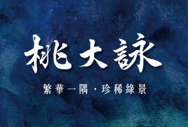 桃大詠