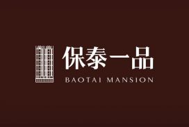保泰一品