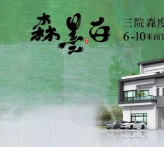 森墨白