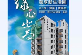 綠心嵩