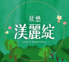 渼麗綻