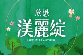 渼麗綻