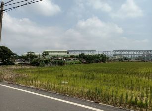 屏東新園大面寬雙面臨路農地