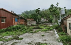 鹿谷小半天文昌段稀有建地台中買屋賣房,土地王劉志忠台中北屯捷運