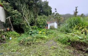 鹿谷凍頂巷頂堀段稀有景觀丙種建地台中買屋賣房,土地王劉志忠台中北屯捷運