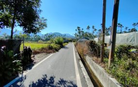 埔里均頭國小水源段農地台中買屋賣房,土地王劉志忠台中北屯捷運