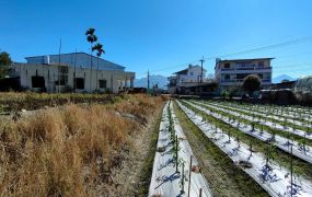 埔里鎮紅瓦厝段藍城路農地台中買屋賣房,土地王劉志忠台中北屯捷運