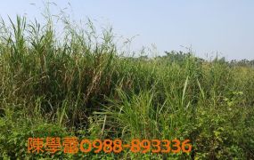 白河二高旁農地