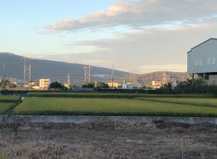福美路農地