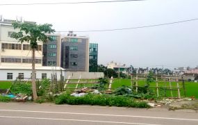 甲后路美農建
