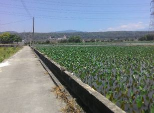 8米路田