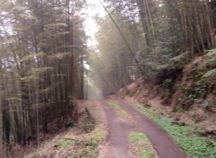 鹿谷杉林溪小半天段羊灣巷景觀地台中買屋賣房,土地王劉志忠,台中北屯捷運