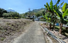 賀成交專任鹿谷秀峰茅埔段秀林巷臨路土地台中買屋賣房,土地王劉志忠