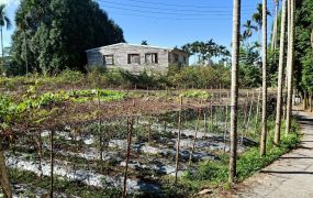 鹿谷一手地新內湖段農地台中買屋賣房,土地王劉志忠,台中北屯捷運 買屋賣房.南投土地.南投房屋