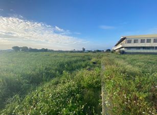 4號公園旁美俗農地