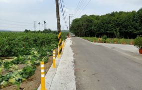 竹山近南雲交流道中和段農地台中買屋賣房,土地王劉志忠南投土地.南投房屋