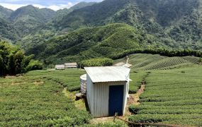 竹山買一送一八卦茶園旁圓山段景觀茶園台中買屋賣房,土地王劉志忠,南投土地.南投房屋