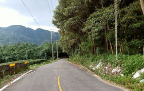 竹山秀林國小旁文田段景觀地附水.電台中買屋賣房,土地王劉志忠,南投土地.南投房屋