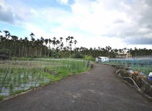 『鹿谷農地』小半天中湖巷文昌段農牧用地台中買屋賣房,土地王劉志忠,南投土地.南投房屋
