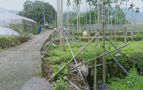 鹿谷秀峰永隆大水堀段土地台中買屋賣房土地王劉志忠南投買地 南投買屋台中北屯捷運