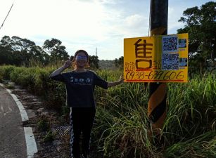 專任通霄大坪頂,坪頂國小旁農地台中買屋賣房,土地王劉志忠台中北屯捷運