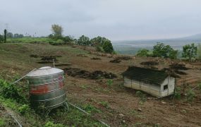 竹山國三旁照鏡段景觀農地台中買屋賣房土地王劉志忠 台中北屯捷運