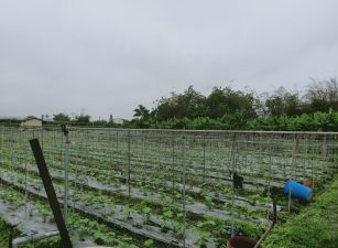 竹山工業區旁安平段農地台中買屋賣房土地王劉志忠台中北屯捷運南投買地 南投買屋