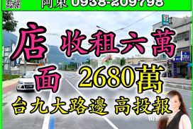 【月收六萬 台九大路邊店面】  【大地坪102坪/大建坪170】