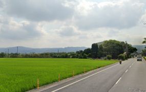 田中斗中路旁方正田