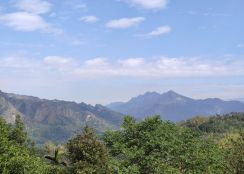 精誠公益-退休歸園田居靠山遠眺山嵐設色九九峰視野戶