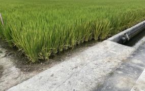 岡山可農保農地