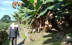 (專任)鹿谷坪峰巷都計土地台中買屋賣房土地王劉志忠台中北屯捷運