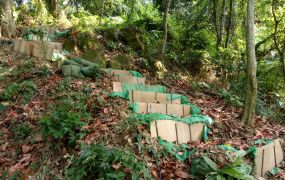 太平黃竹坑大平台景觀農地台中買屋賣房,土地王劉志忠台中北屯捷運