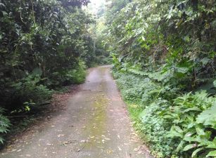 鹿谷秀峰農場旁建地農林地台中買屋賣房,土地王劉志忠,台中北屯捷運 買屋賣房南投土地.南投房屋