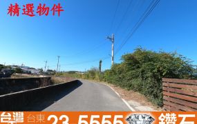 市農265_台東市近海邊優質農地A