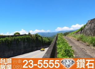 海農166_長濱近7-11觀海農地