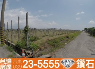 市農165_近市區臨海路三角窗土地