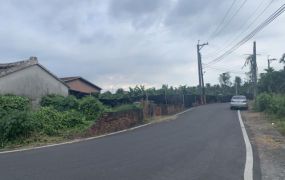 潮州市郊三角窗農地