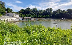 (已售出歡迎託售)大社觀音山漂亮農地