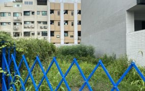 左營高鐵旁小建地