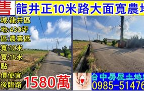 龍井正10米路大面寬農地