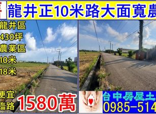 龍井正10米路大面寬農地