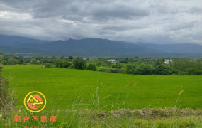 花蓮縣玉里鎮觀音里193縣道景觀農地