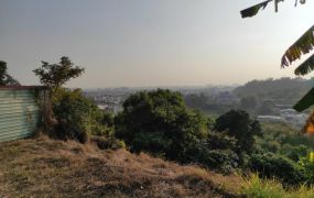 鳥松景觀都內農地