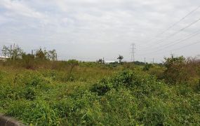 阿蓮省道上大面寬農地