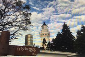 觀音區養生宅 土地85坪