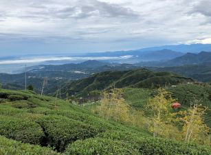 鹿谷杉林溪羊灣巷面大崙山國有財產署承租權景觀地台中買屋賣房,土地王劉志忠台中北屯捷運,捷運總站