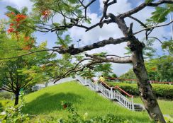 中壢中正路三段四面臨路 開心農場