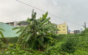 岡山方正建地出售