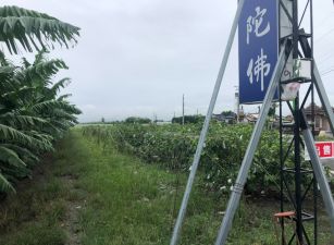 美濃區中正路永明寺公墓旁農地
